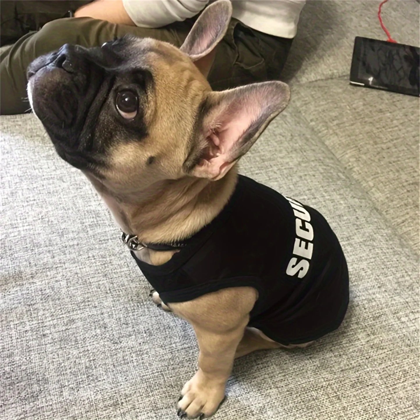 Summer Security Vest