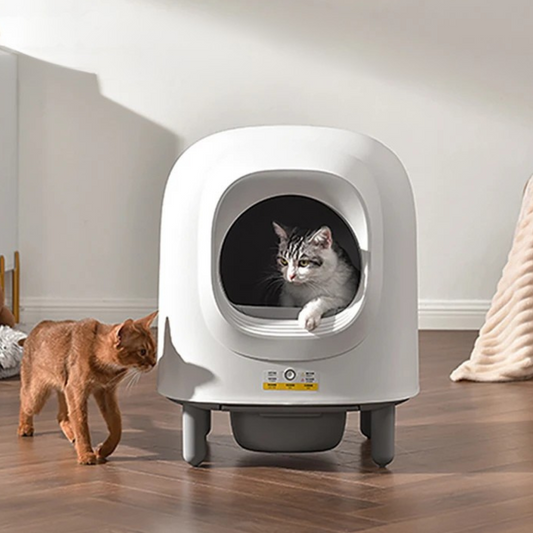 Petree 2.0 Pro – The Smarter Way to a Cleaner Litter Box