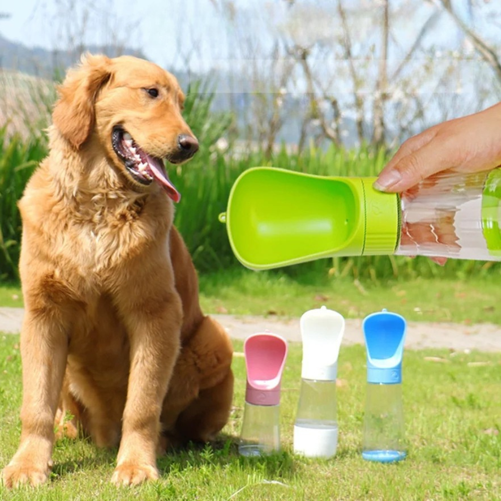 Portable Pet Water Bottle & Drinking Cup