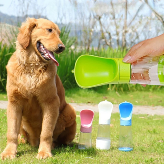 Portable Pet Water Bottle & Drinking Cup