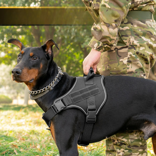 Tactical Dog Harness with Quick Release Buckle