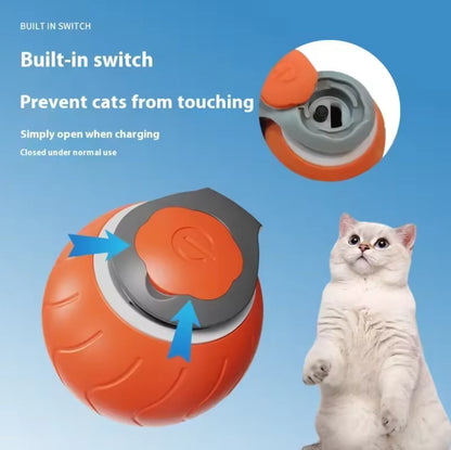 Interactive Rolling Ball Cat Toy with Faux Tail