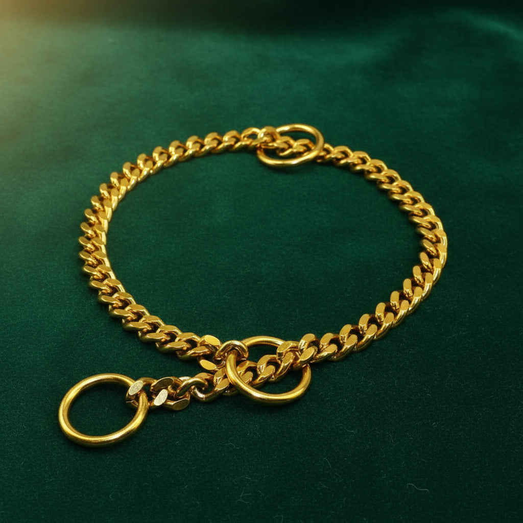 Stainless Steel Dog Chain Collar