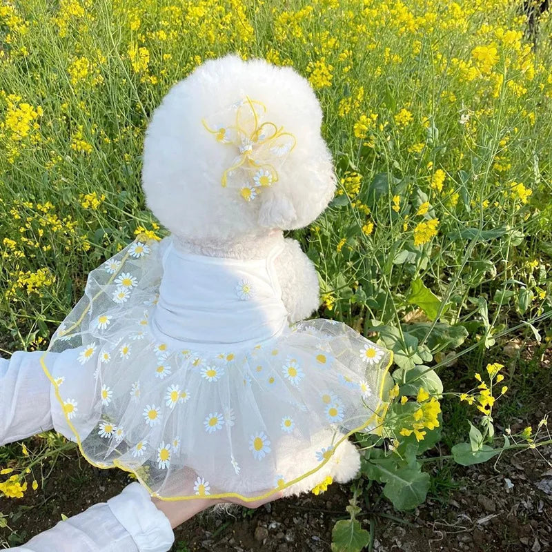 Cute Puppy Princess Dress for Small Dogs