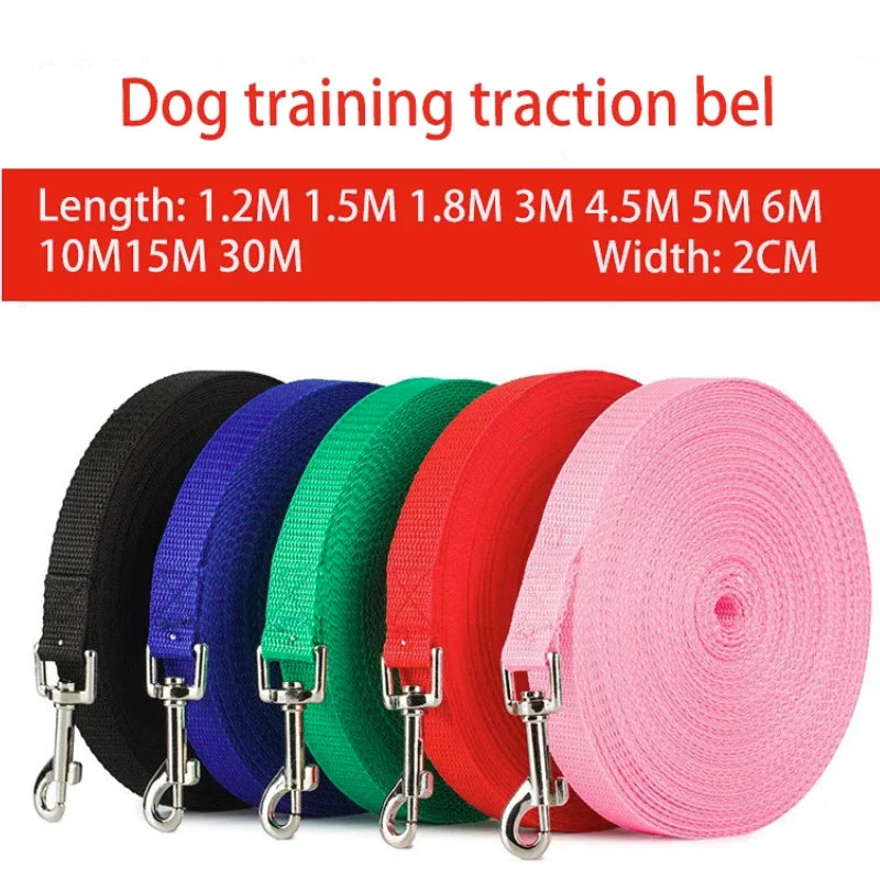 Durable Nylon Dog Leash for Large Dogs