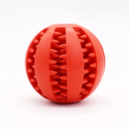 Dog Chew Toy Ball – Bite Resistant & Nontoxic