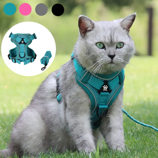 Breathable Reflective Pet Harness & Leash Set