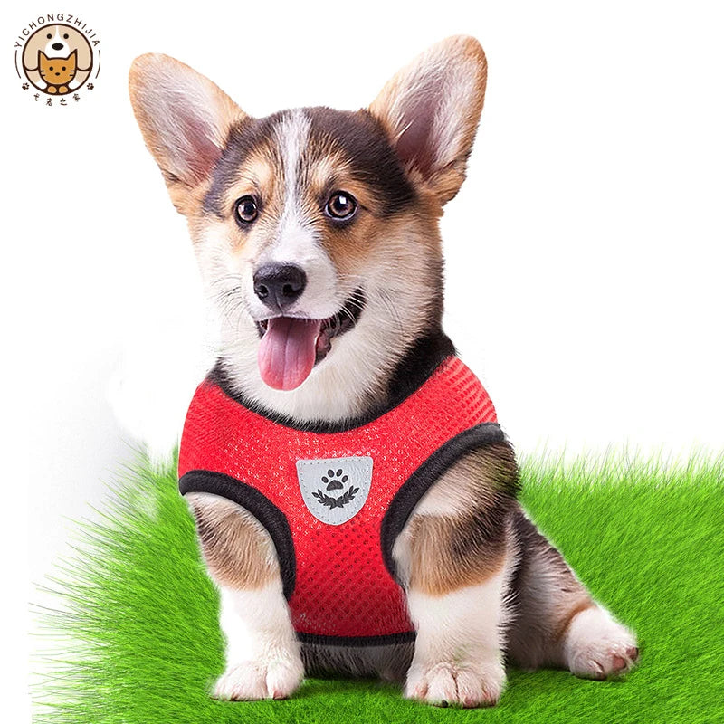 Adjustable Mesh Dog Vest Harness with Leash
