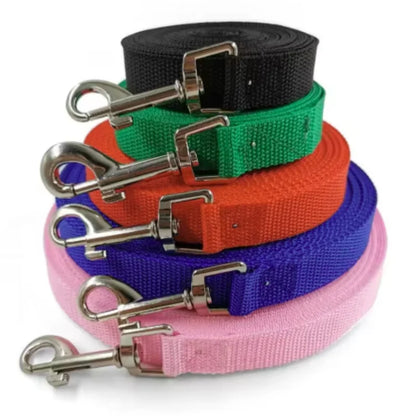 Durable Nylon Dog Leash for Large Dogs