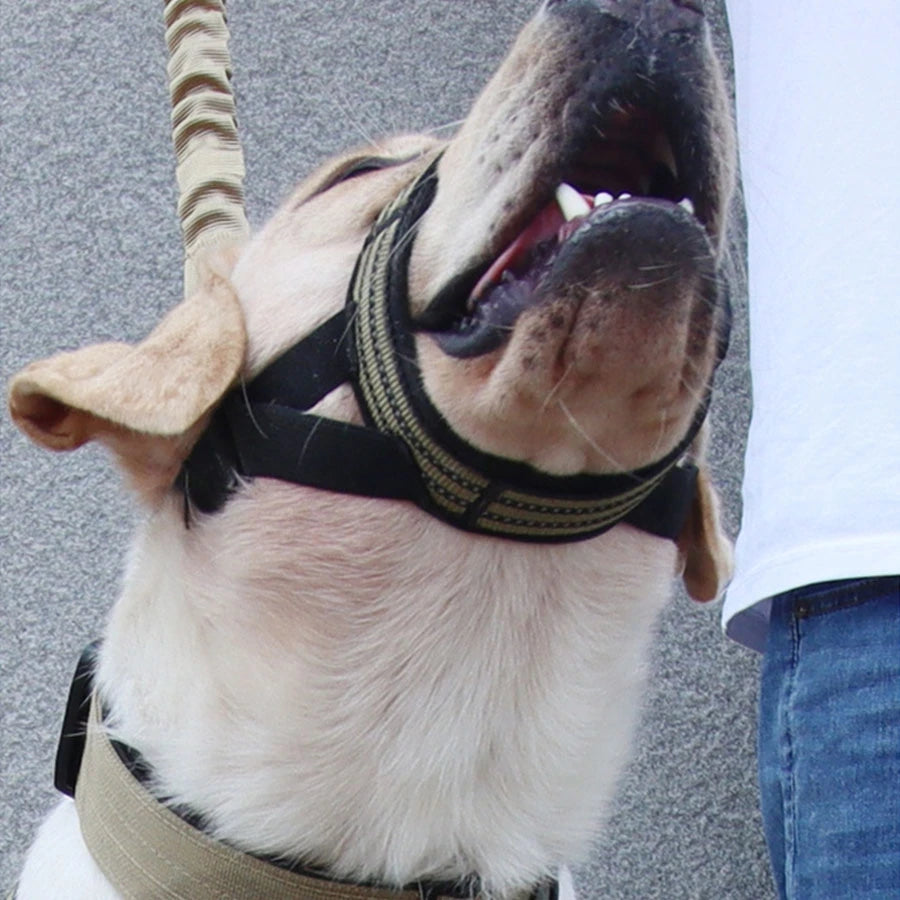 1pc pet mouth cover adjustable tactical dog mouth cover anti bite dog mask