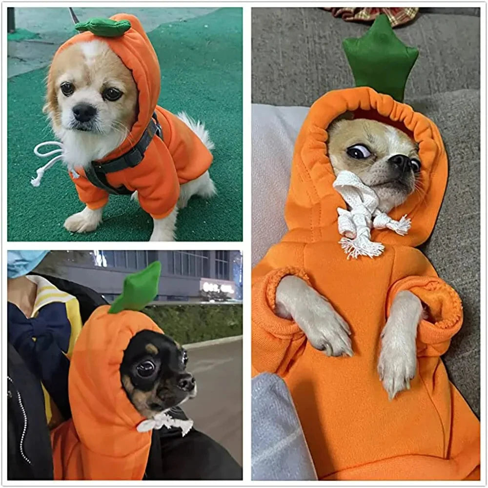 Dog Hoodie Sweater Carrot Design Warm Fleece for Puppies