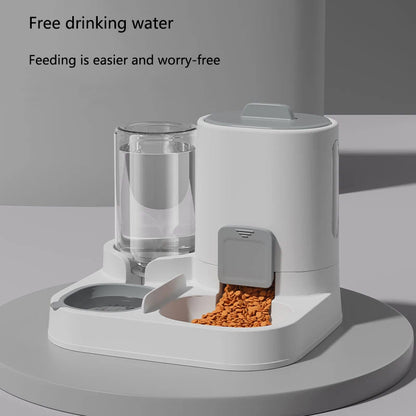 2-in-1 Pet Feeding & Water Bowl