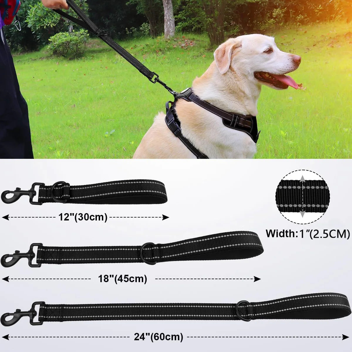 Heavy Duty Short Dog Leash with Padded Handle