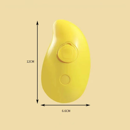 Pet Spray Massage Comb