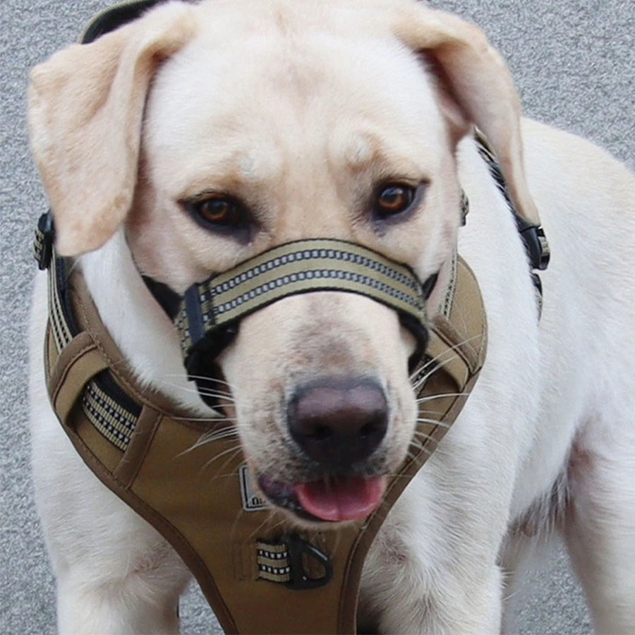 1pc pet mouth cover adjustable tactical dog mouth cover anti bite dog mask